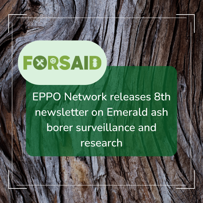 EPPO Network releases 8th newsletter on Emerald ash borer surveillance and research